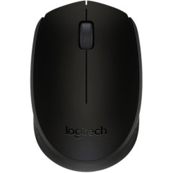 Logitech M171 Wireless Mouse (Noir)